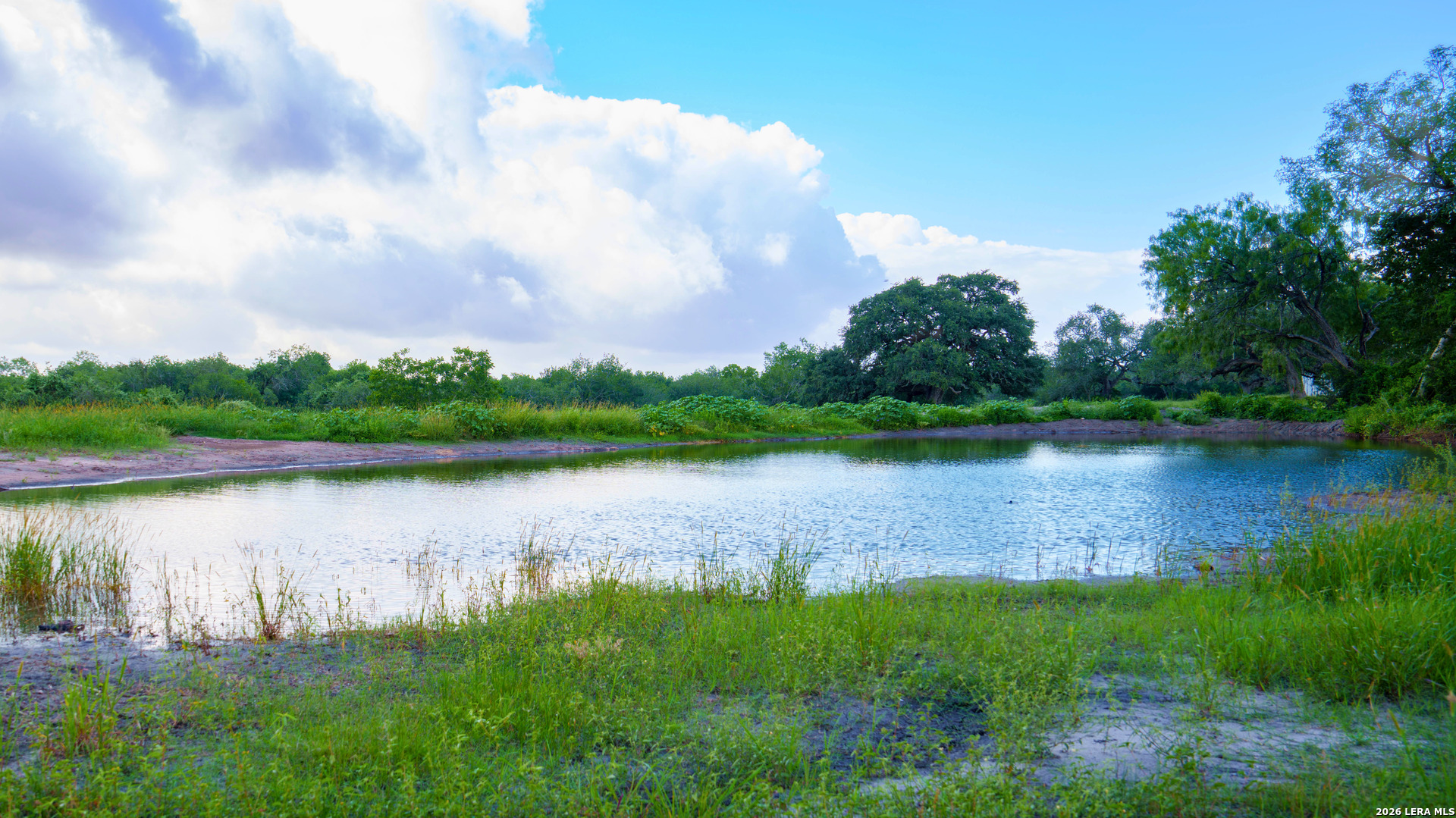 43 Acres Fm 885 Runge TX 78151