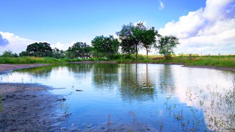 43 Acres Fm 885 Runge TX 78151