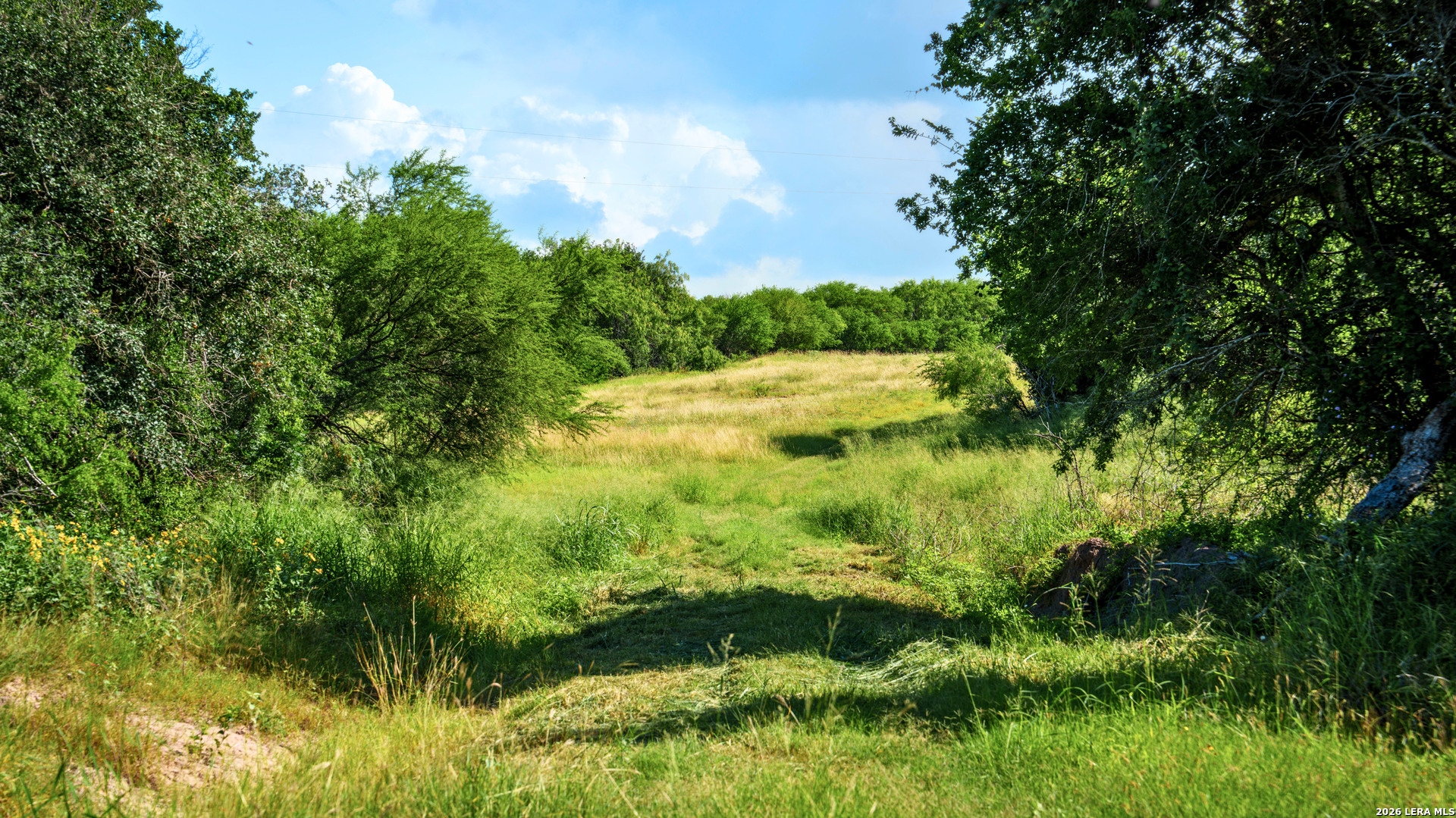43 Acres Fm 885 Runge TX 78151