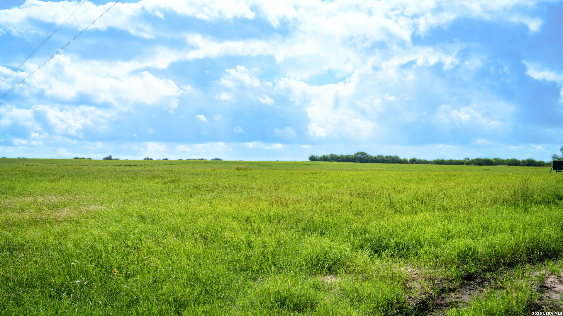 43 Acres Fm 885 Runge TX 78151