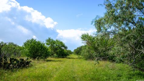 43 Acres Fm 885 Runge TX 78151