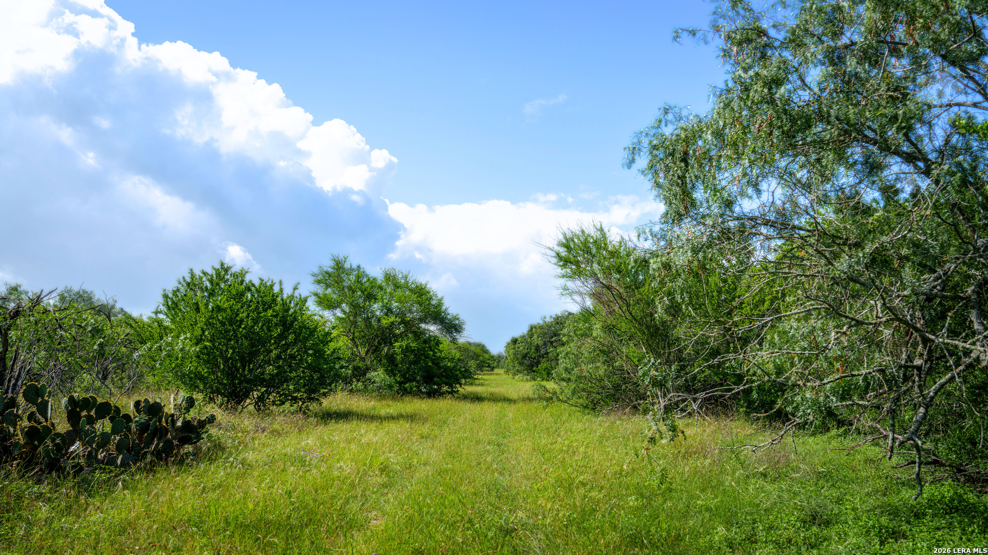 43 Acres Fm 885 Runge TX 78151