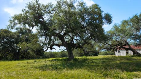 43 Acres Fm 885 Runge TX 78151