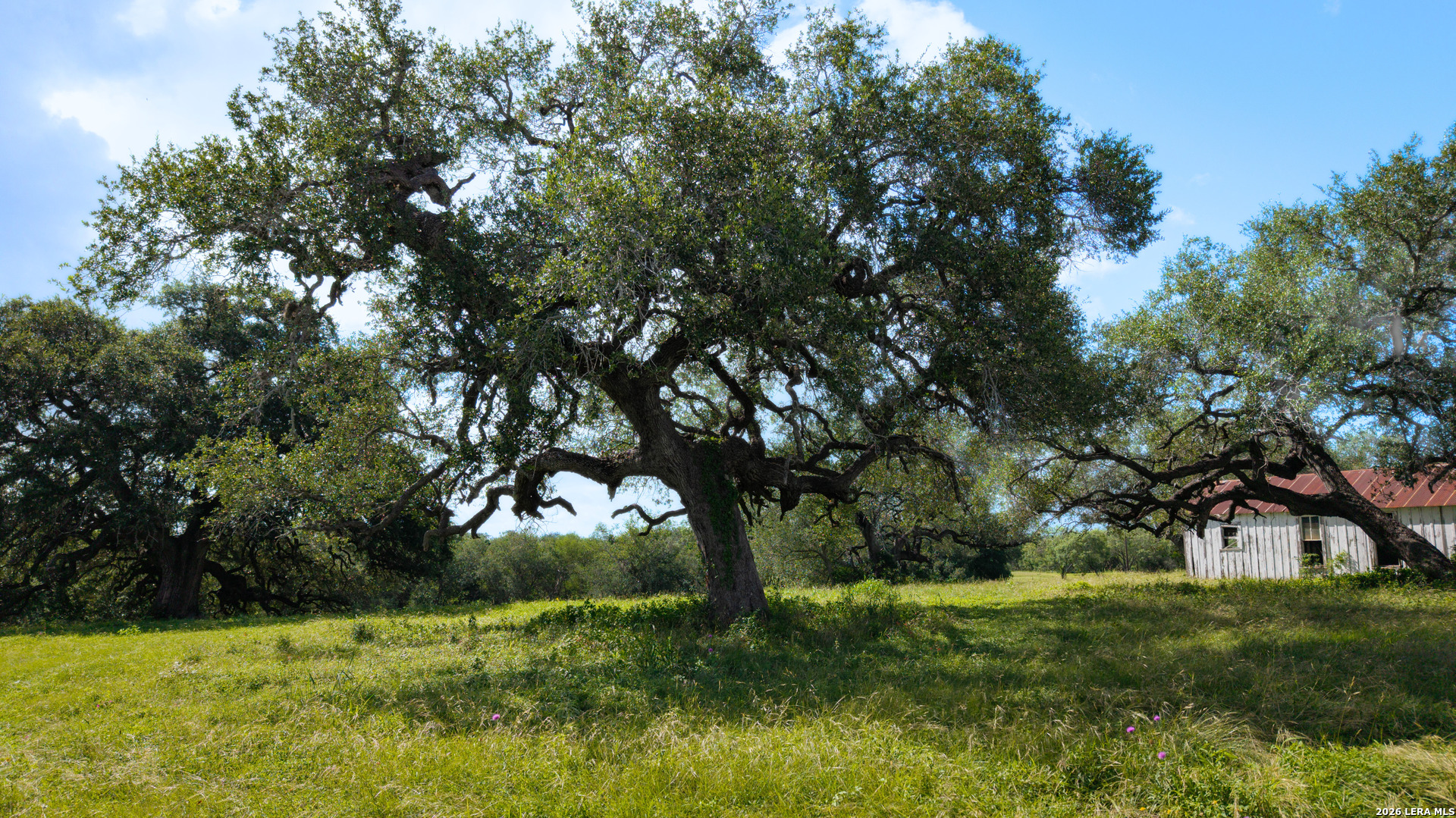 43 Acres Fm 885 Runge TX 78151
