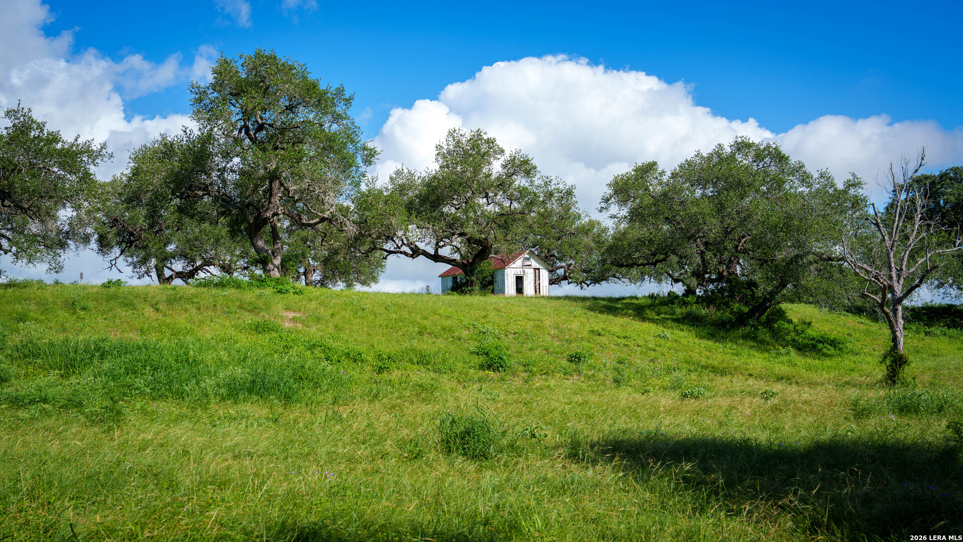 43 Acres Fm 885 Runge TX 78151