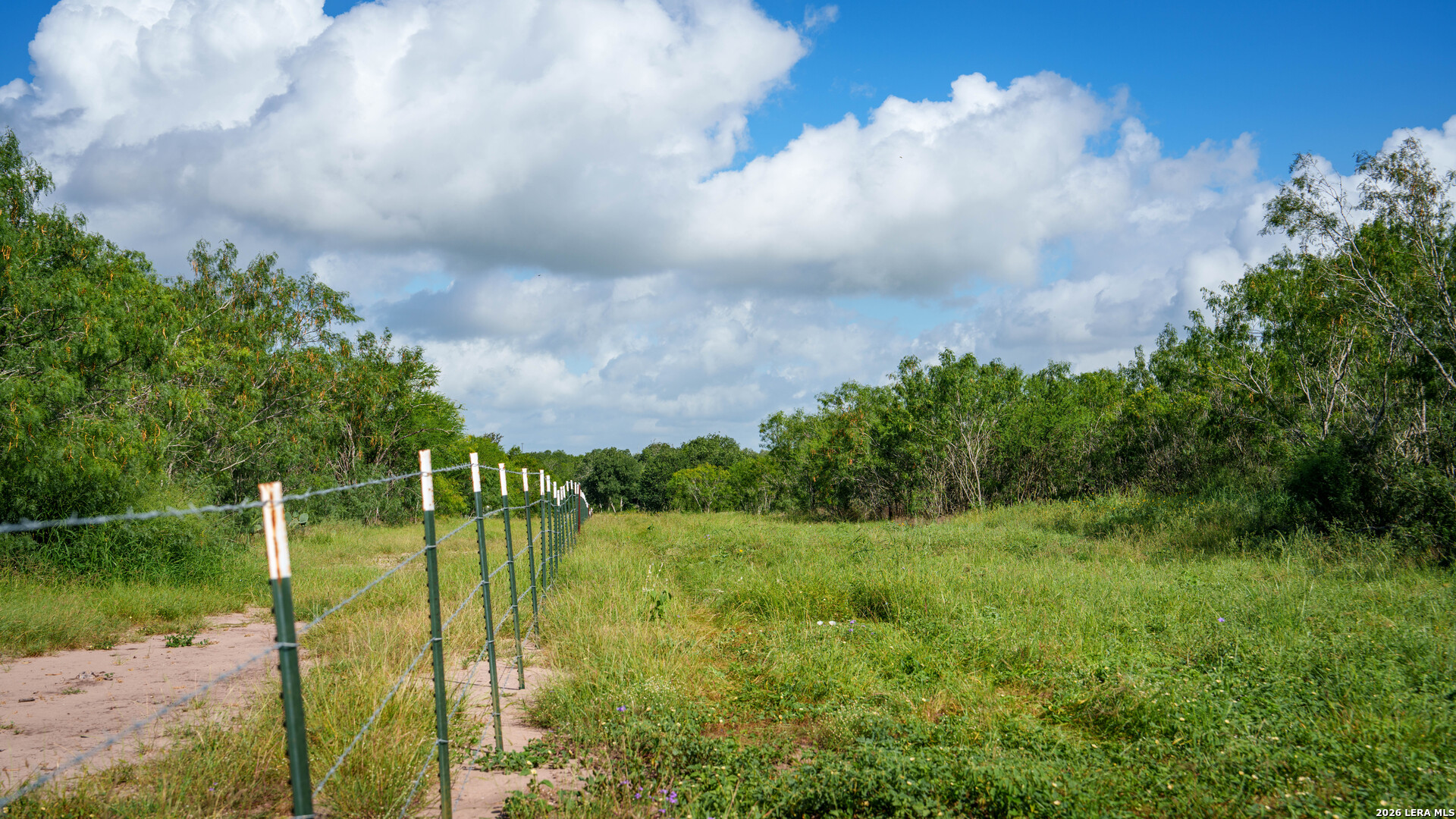 43 Acres Fm 885 Runge TX 78151