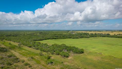 43 Acres Fm 885 Runge TX 78151
