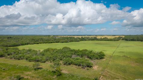 43 Acres Fm 885 Runge TX 78151