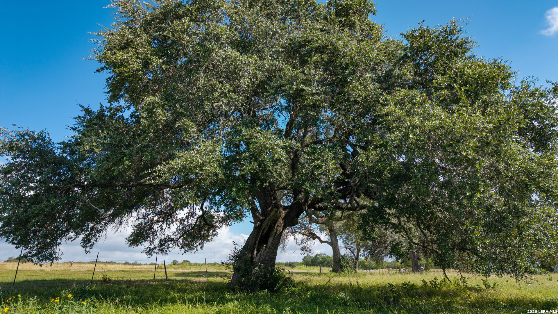 43 Acres Fm 885 Runge TX 78151