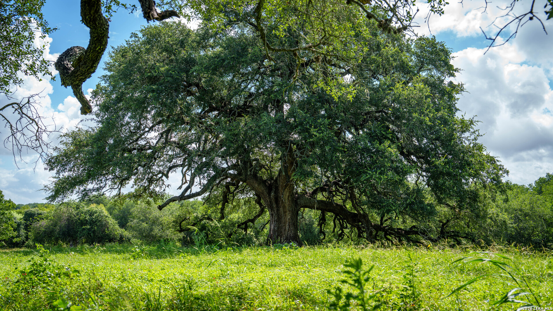 43 Acres Fm 885 Runge TX 78151