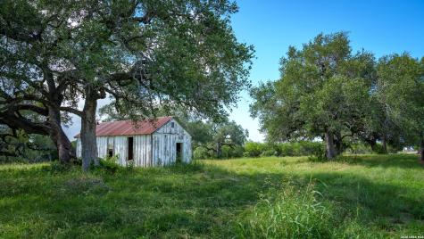 43 Acres Fm 885 Runge TX 78151