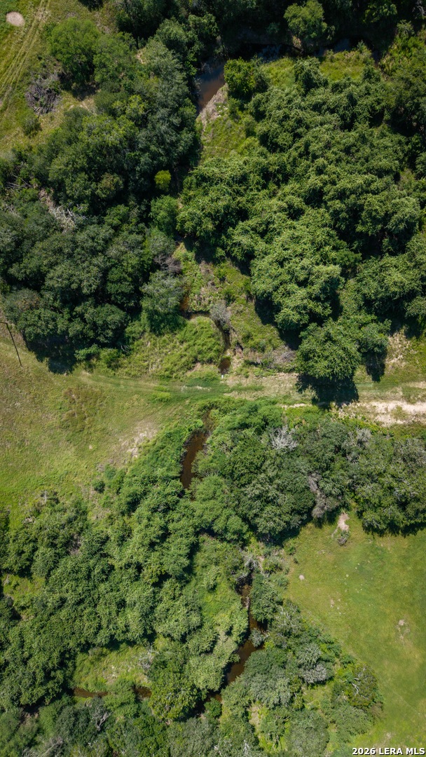 43 Acres Fm 885 Runge TX 78151
