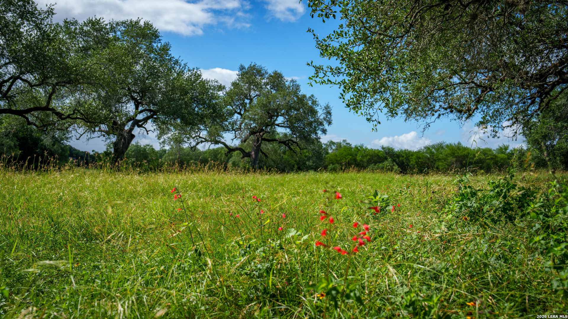 43 Acres Fm 885 Runge TX 78151