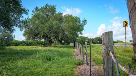 43 Acres Fm 885 Runge TX 78151