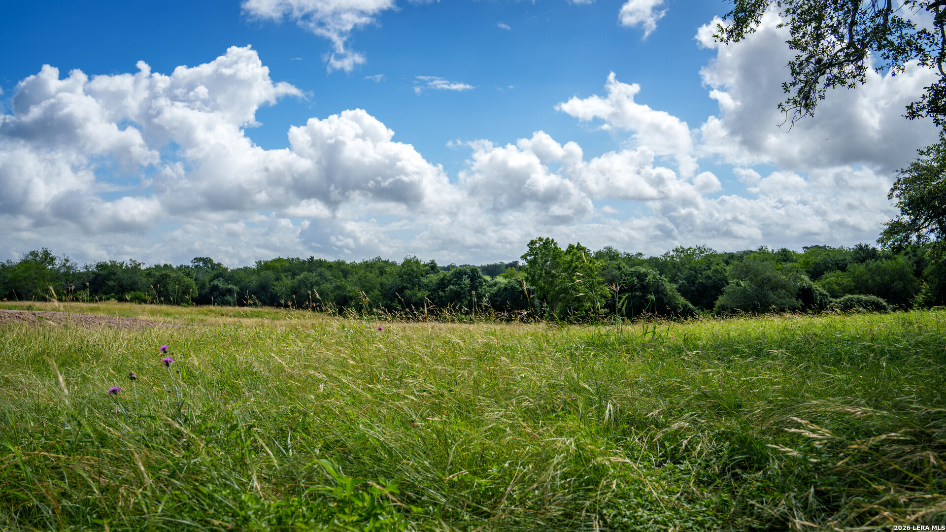 43 Acres Fm 885 Runge TX 78151