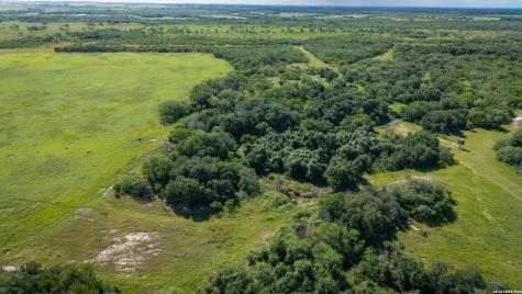 43 Acres Fm 885 Runge TX 78151