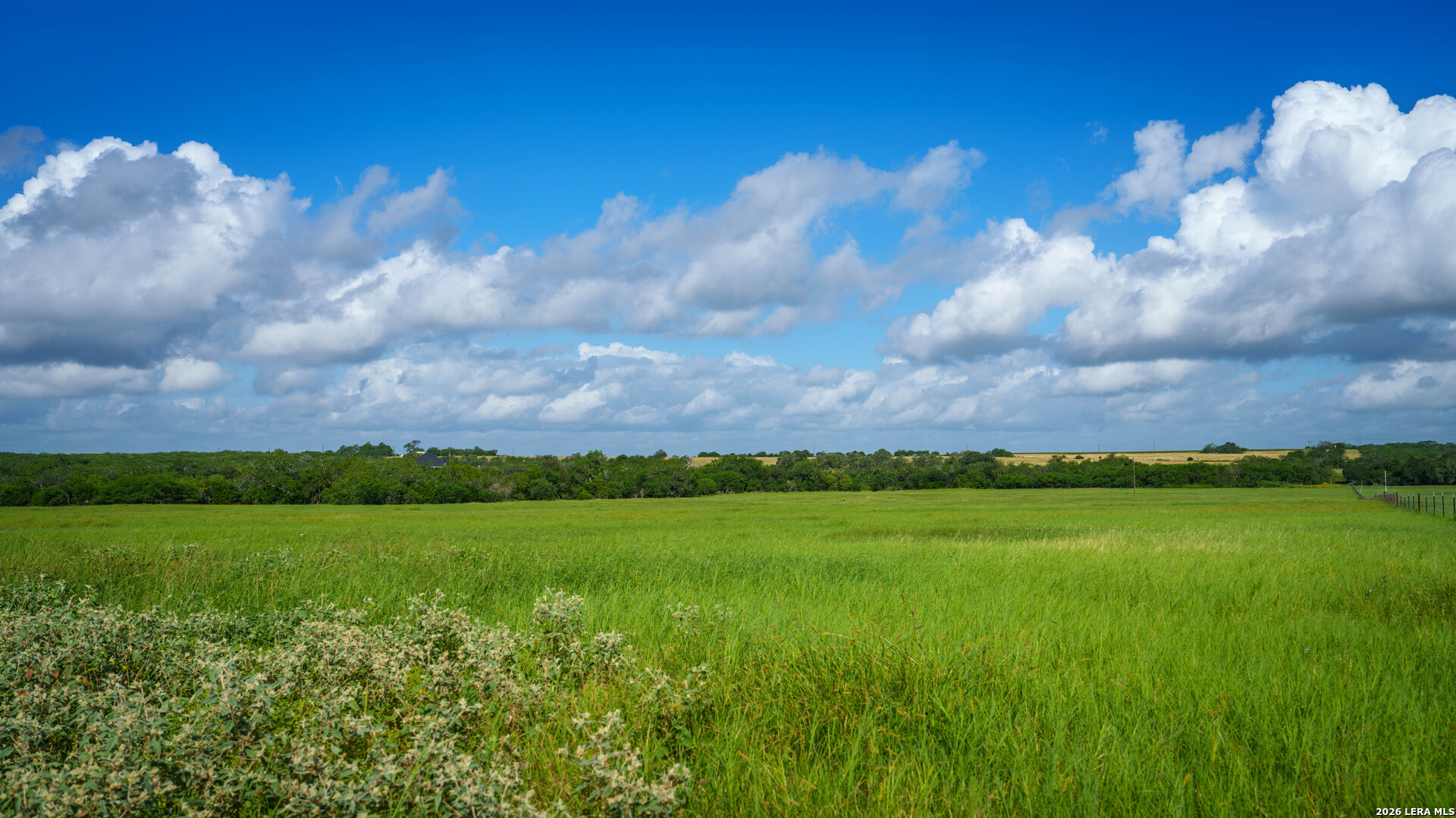 43 Acres Fm 885 Runge TX 78151