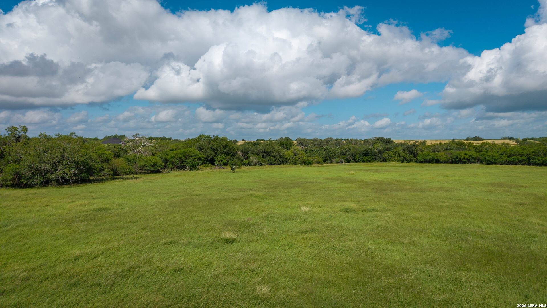 43 Acres Fm 885 Runge TX 78151