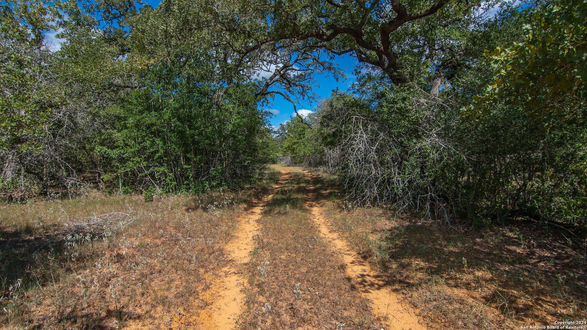 Tbd County Road 434 Stockdale TX 78155