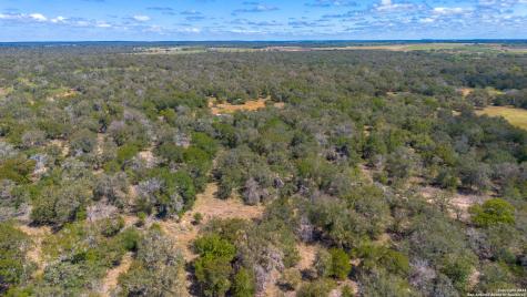 Tbd County Road 434 Stockdale TX 78155