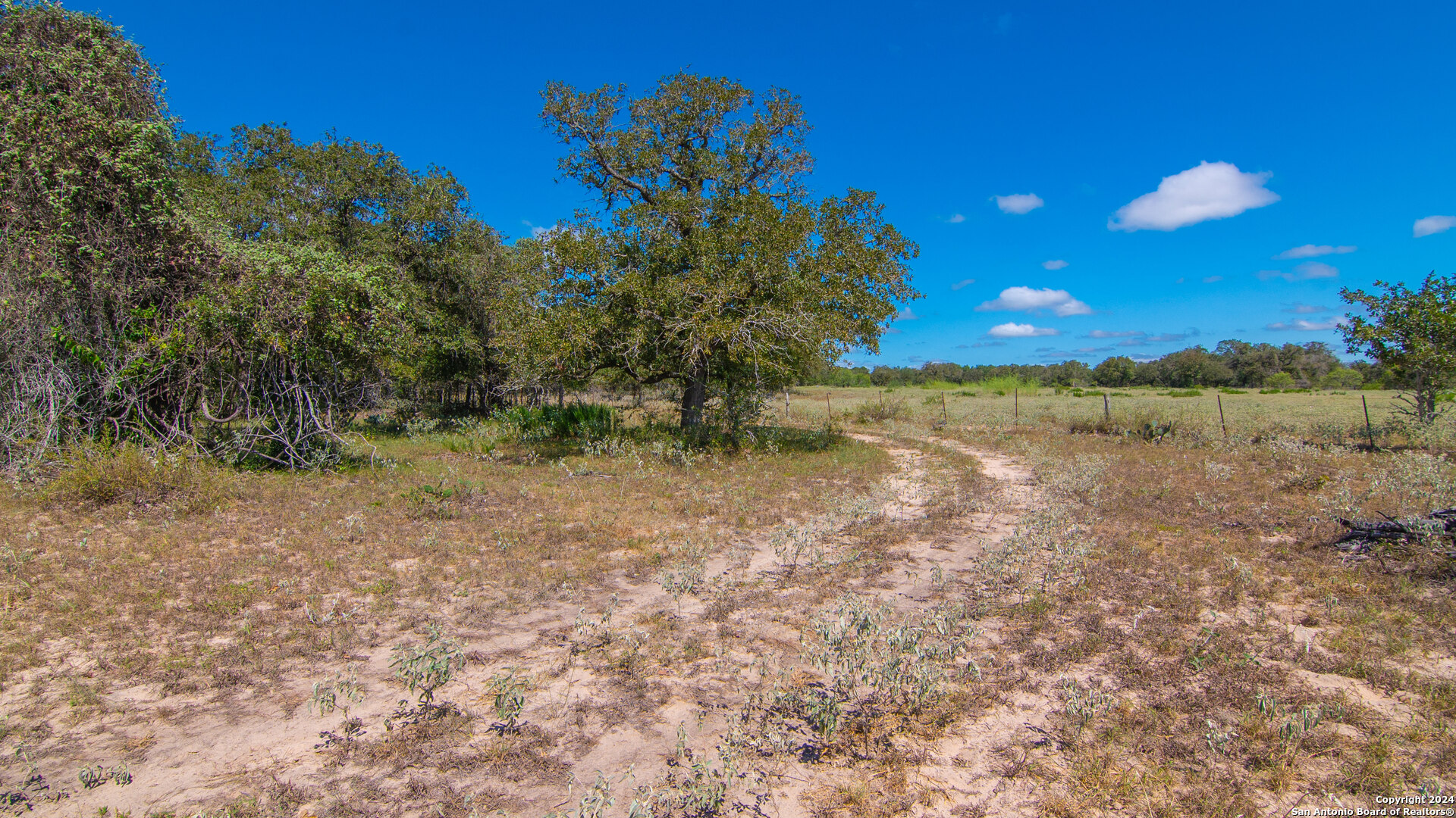 Tbd County Road 434 Stockdale TX 78155
