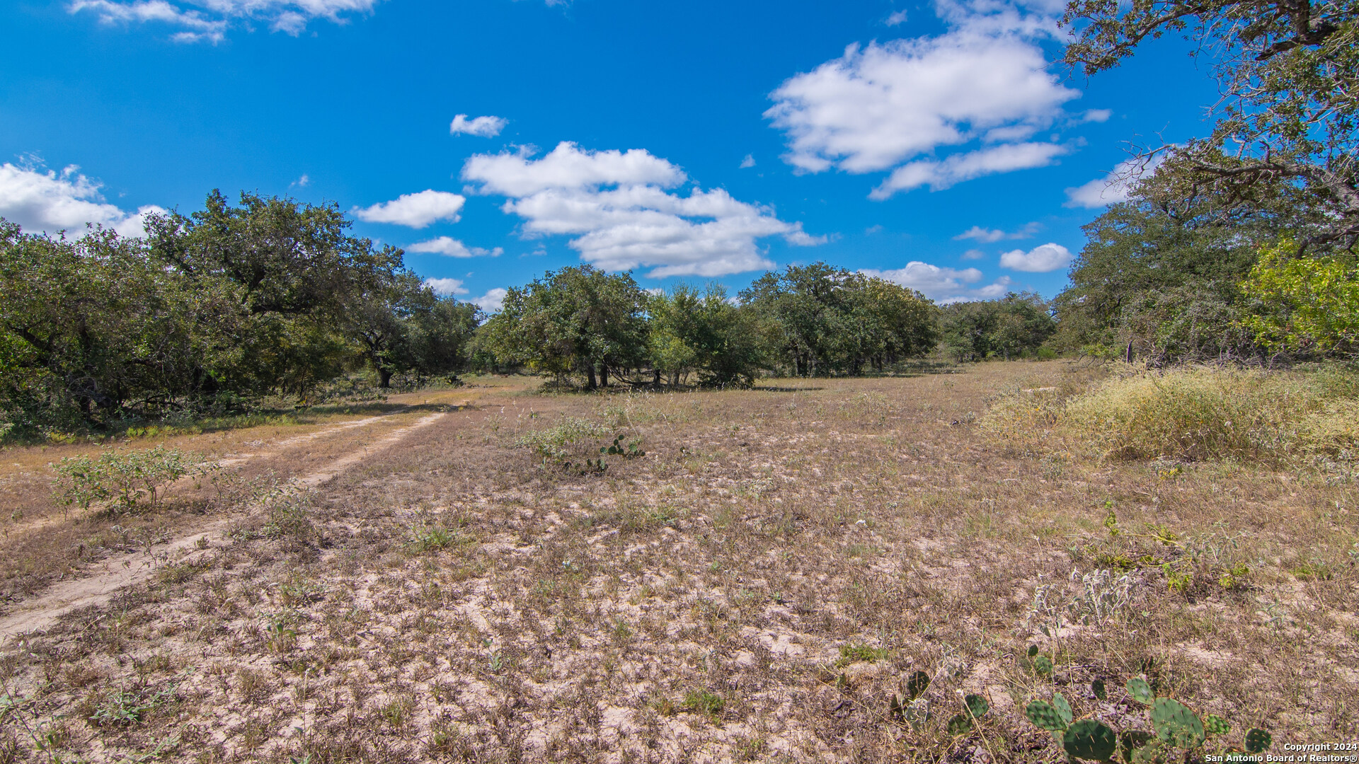 Tbd County Road 434 Stockdale TX 78155
