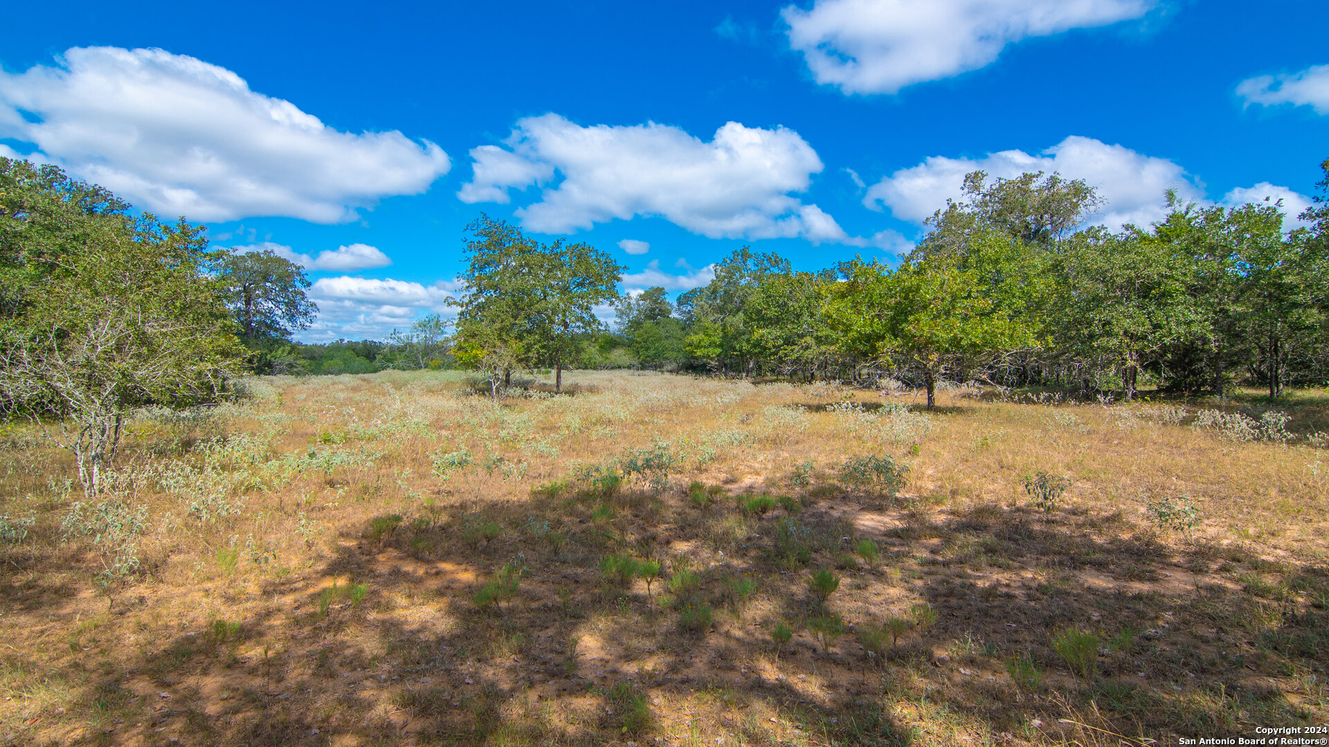 Tbd County Road 434 Stockdale TX 78155
