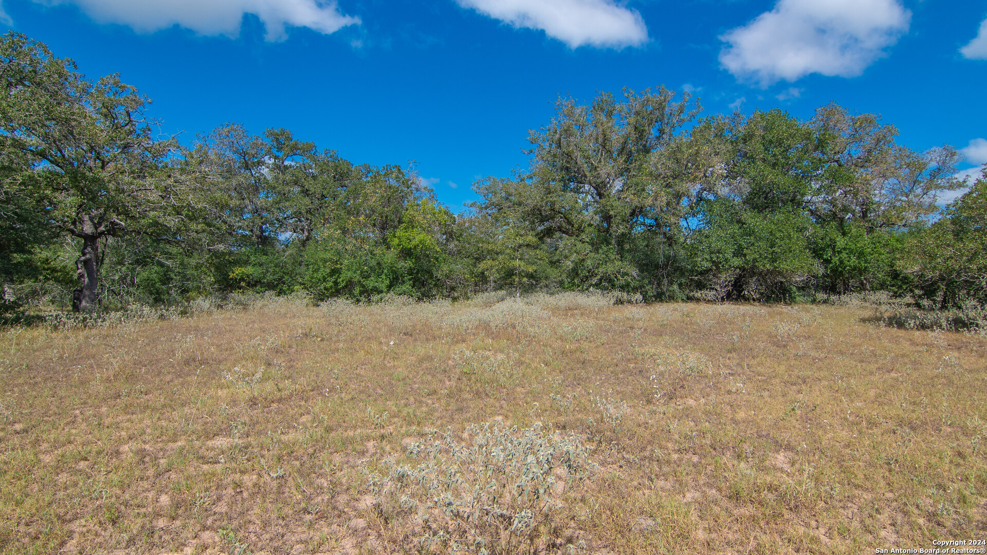 Tbd County Road 434 Stockdale TX 78155