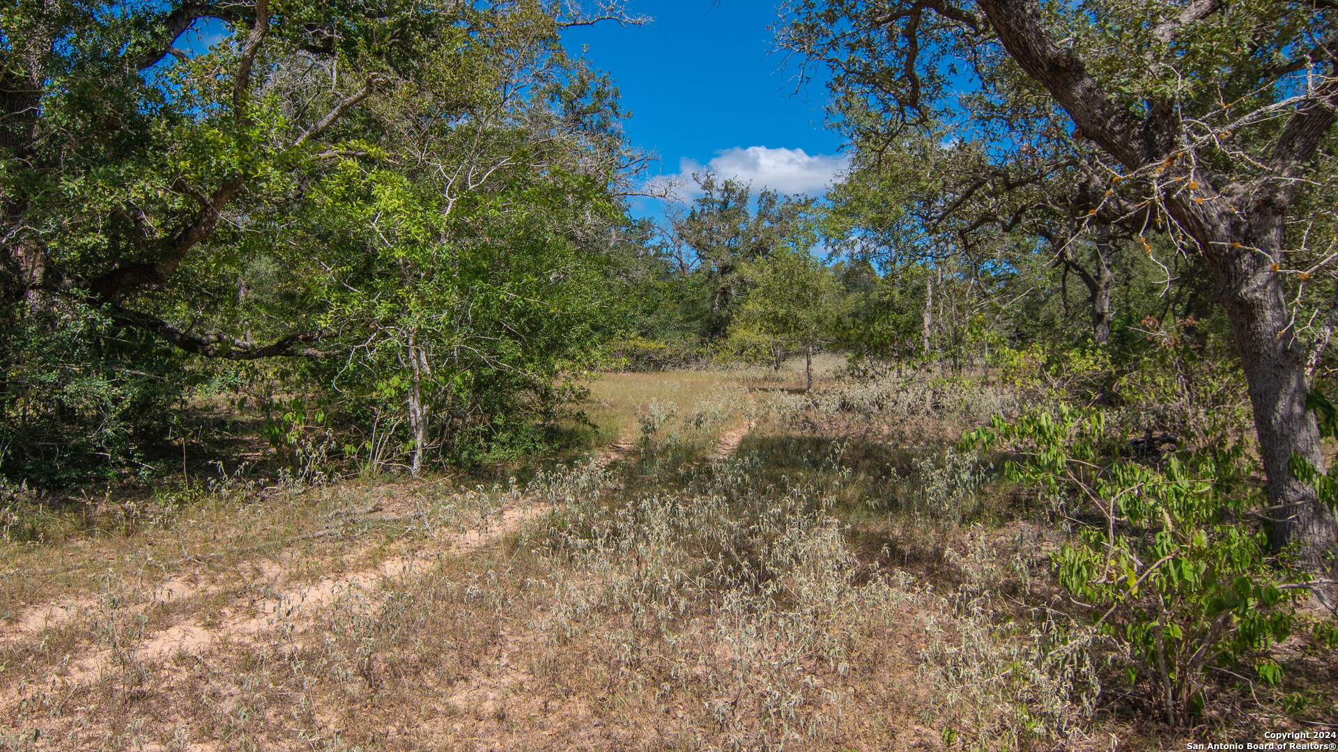 Tbd County Road 434 Stockdale TX 78155