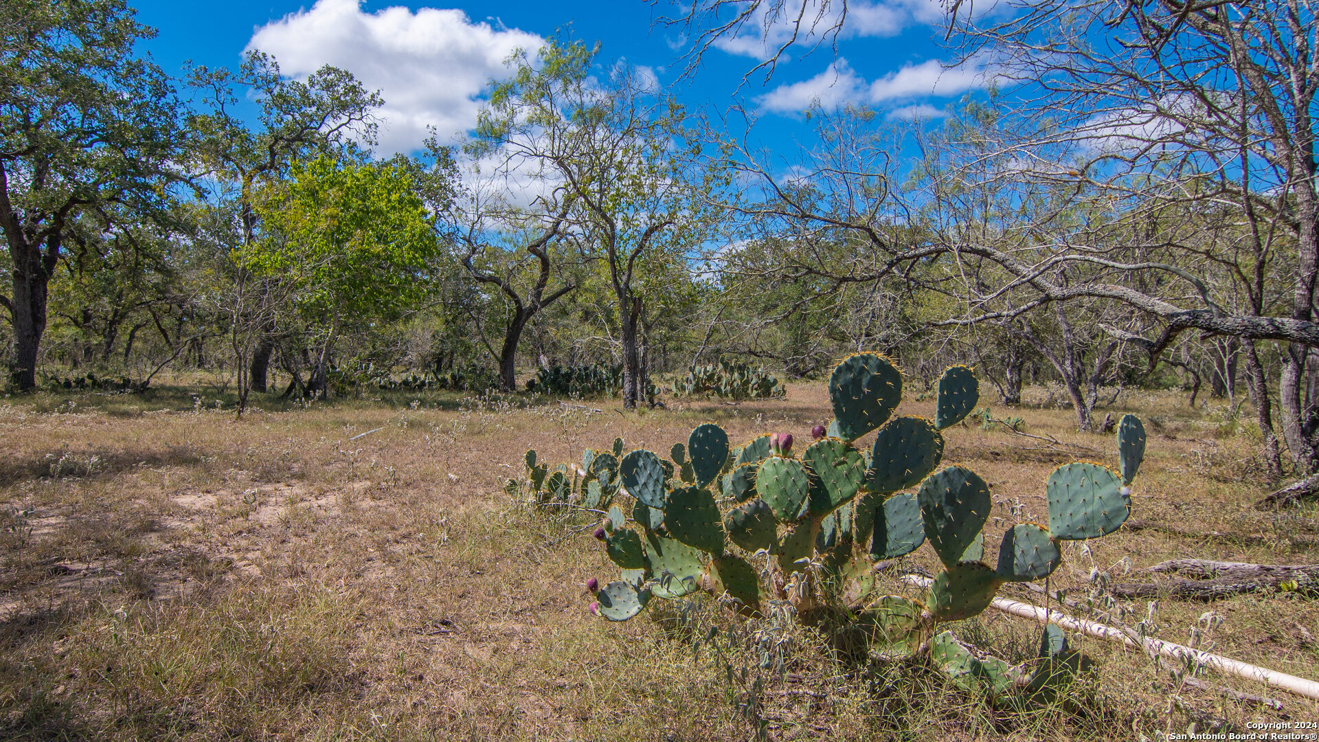 Tbd County Road 434 Stockdale TX 78155