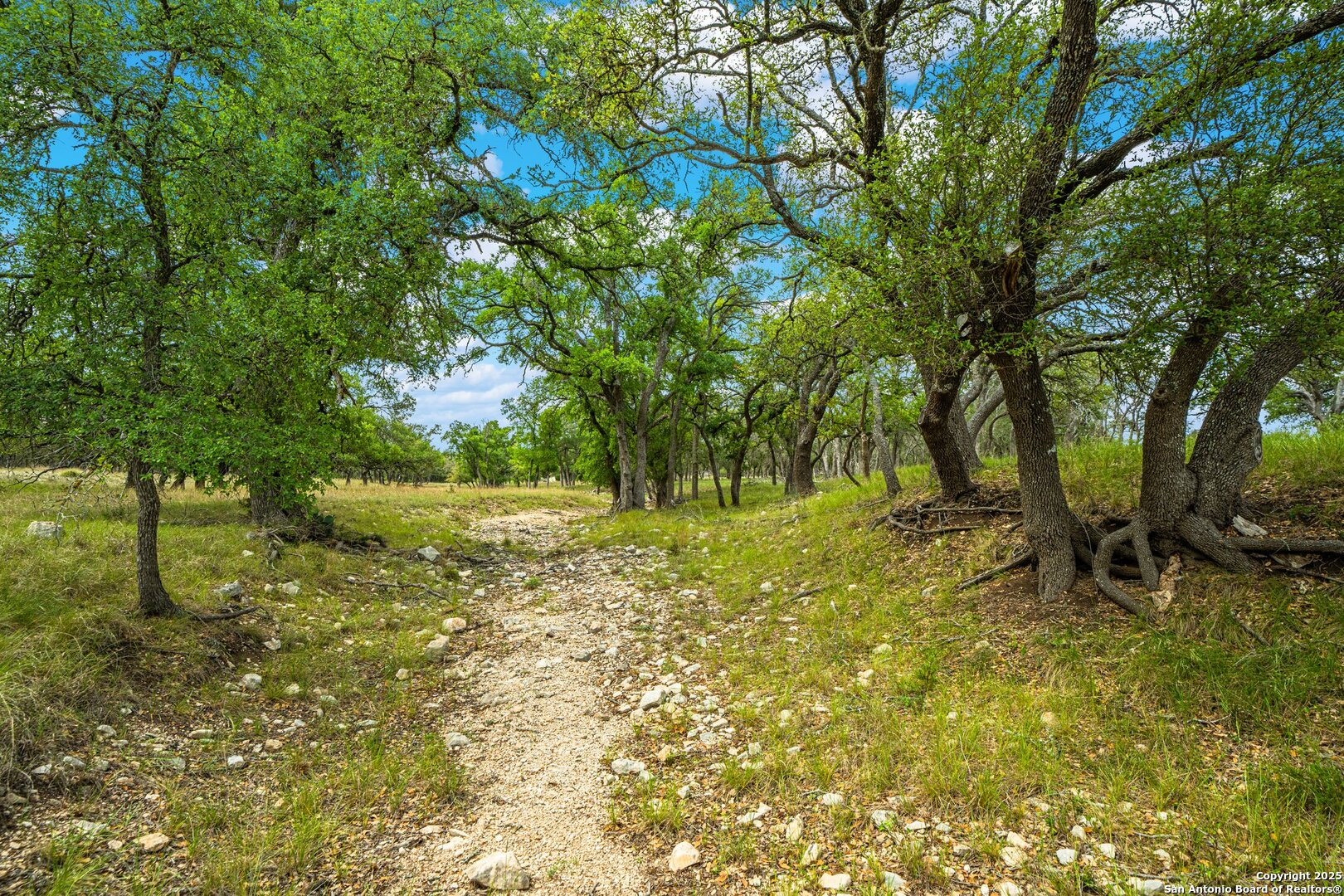 1379 Baker-rogers Road Harper TX 78631