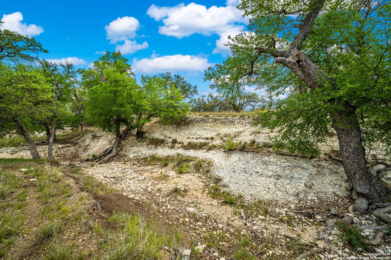 1379 Baker-rogers Road Harper TX 78631