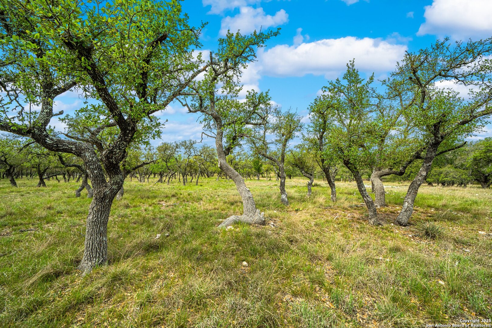 1379 Baker-rogers Road Harper TX 78631