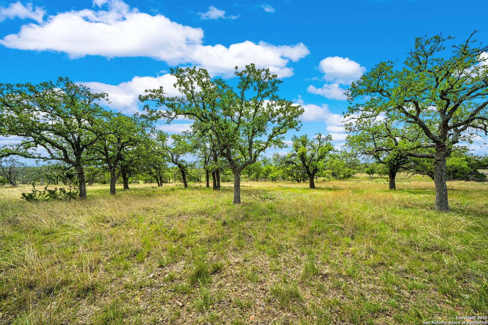 1379 Baker-rogers Road Harper TX 78631