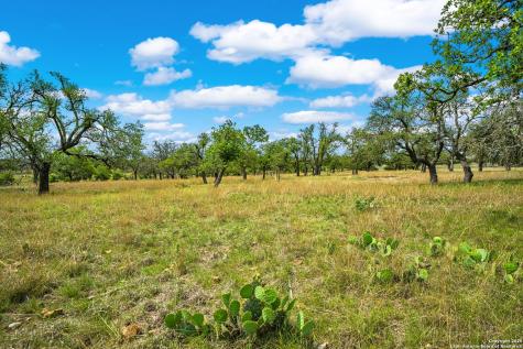 1379 Baker-rogers Road Harper TX 78631