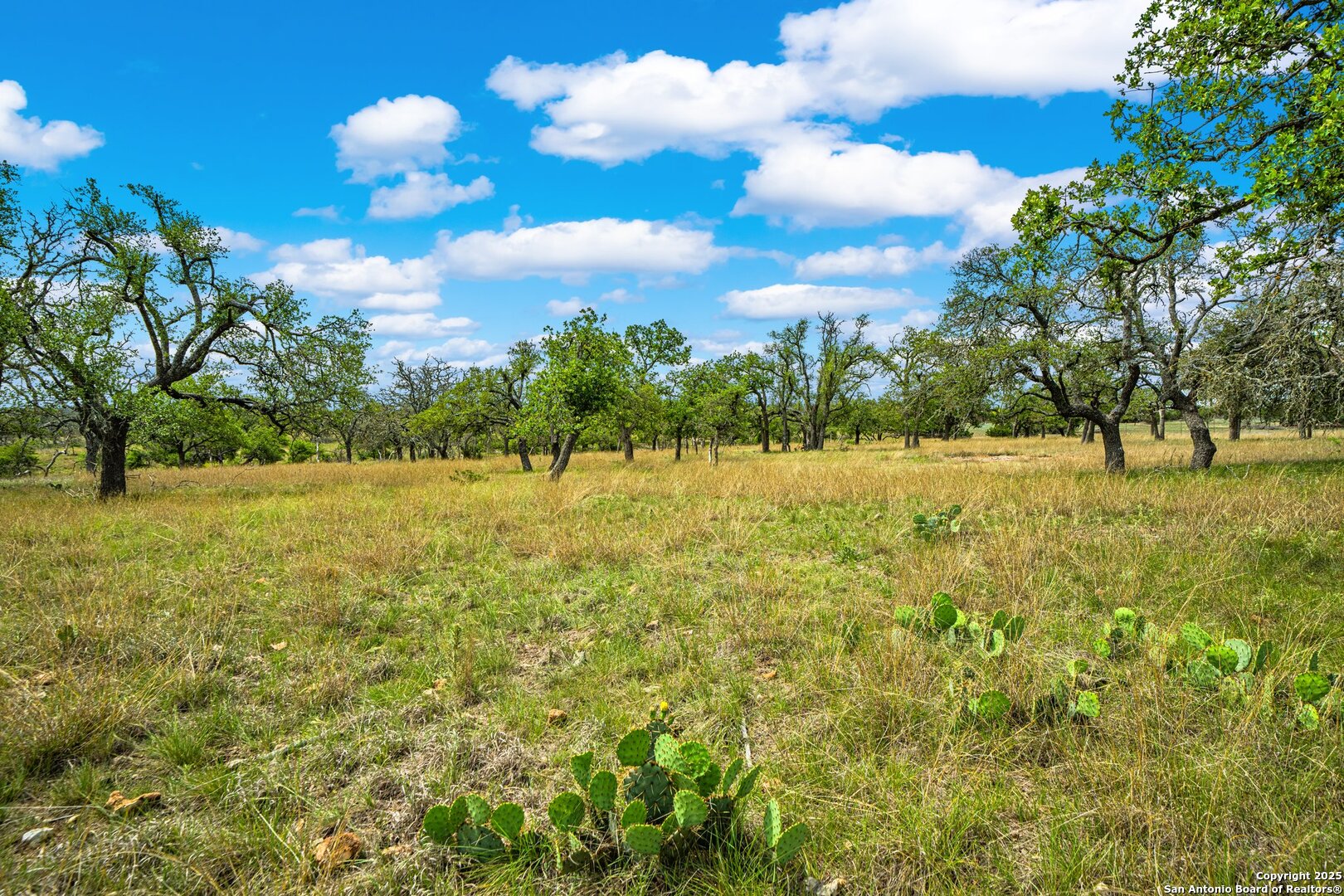 1379 Baker-rogers Road Harper TX 78631