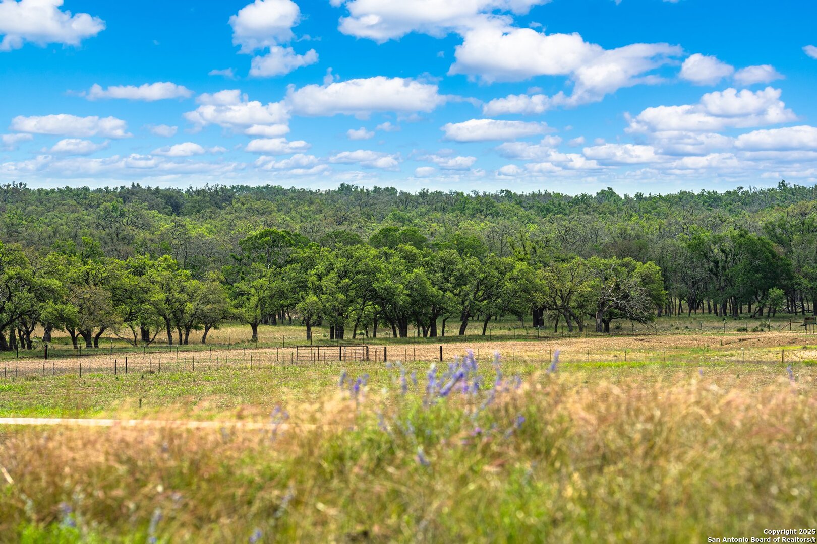 1379 Baker-rogers Road Harper TX 78631