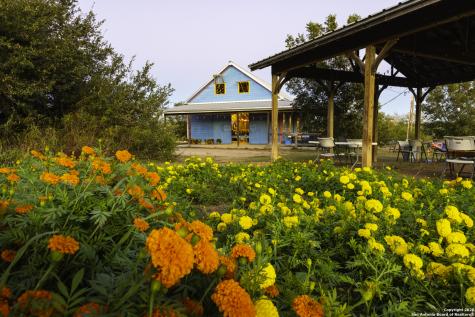 13977 Ranch Road 2325 Blanco TX 78606