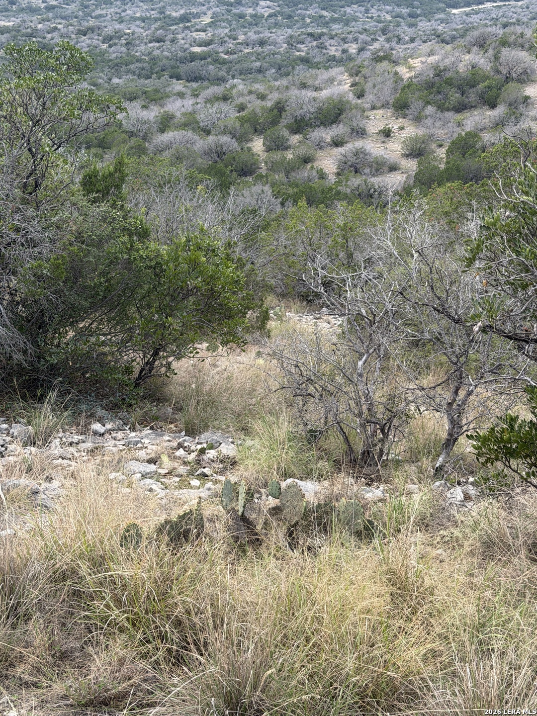Tbd Sd45415 Rocksprings TX 78880