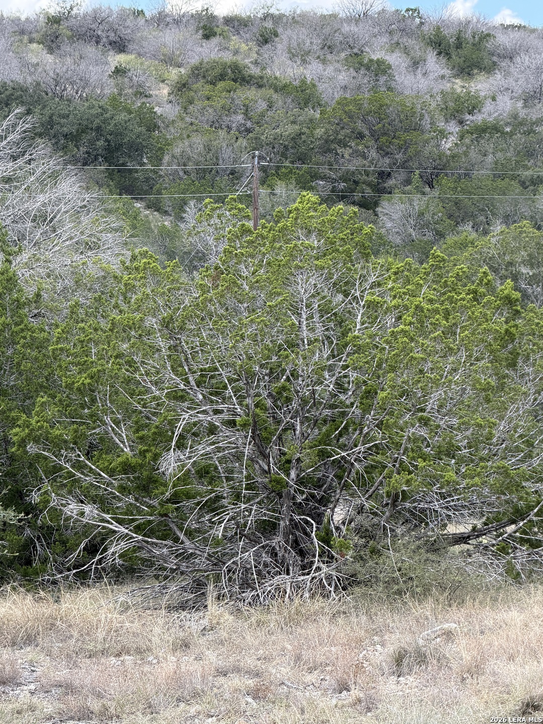 Tbd Sd45415 Rocksprings TX 78880