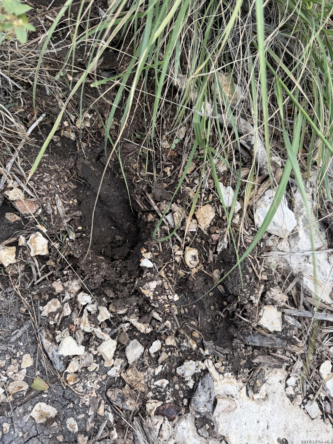 Tbd Sd45415 Rocksprings TX 78880