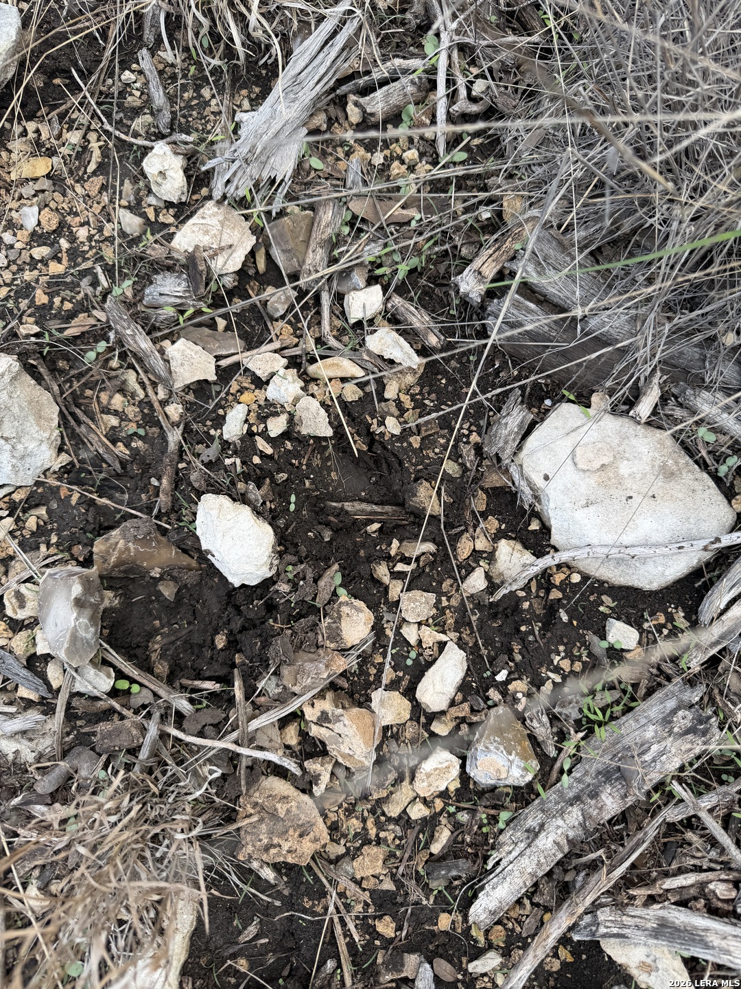 Tbd Sd45415 Rocksprings TX 78880