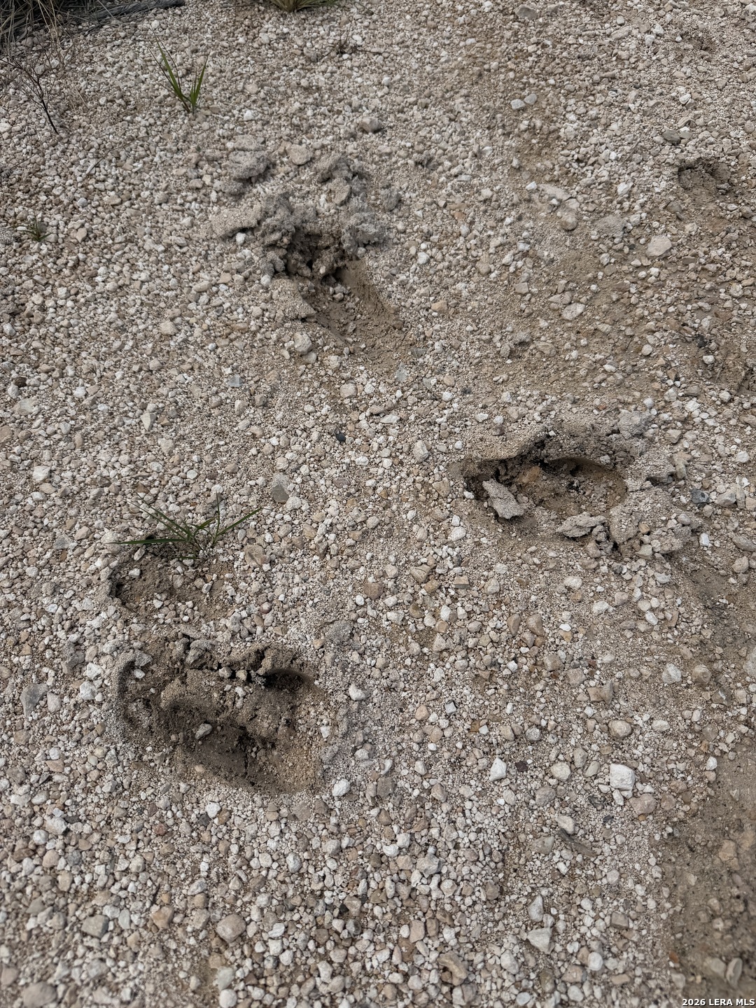 Tbd Sd45415 Rocksprings TX 78880