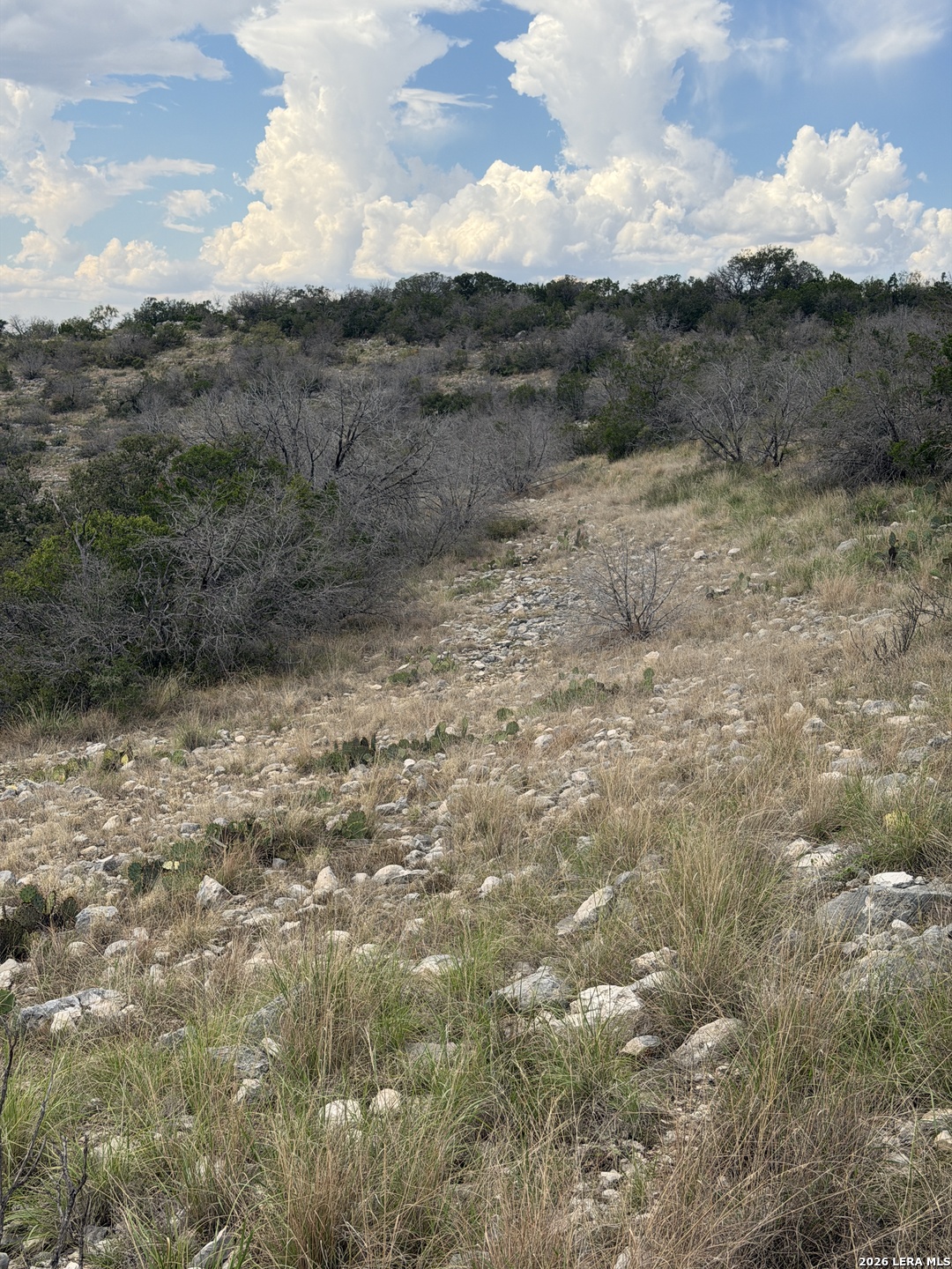 Tbd Sd45415 Rocksprings TX 78880