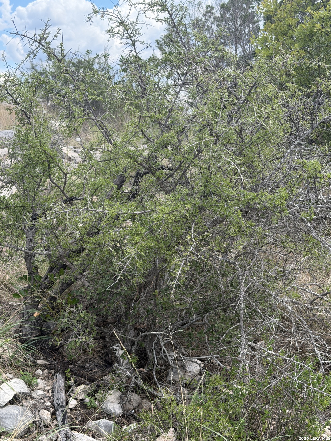 Tbd Sd45415 Rocksprings TX 78880