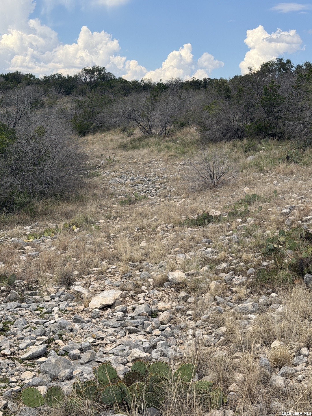 Tbd Sd45415 Rocksprings TX 78880