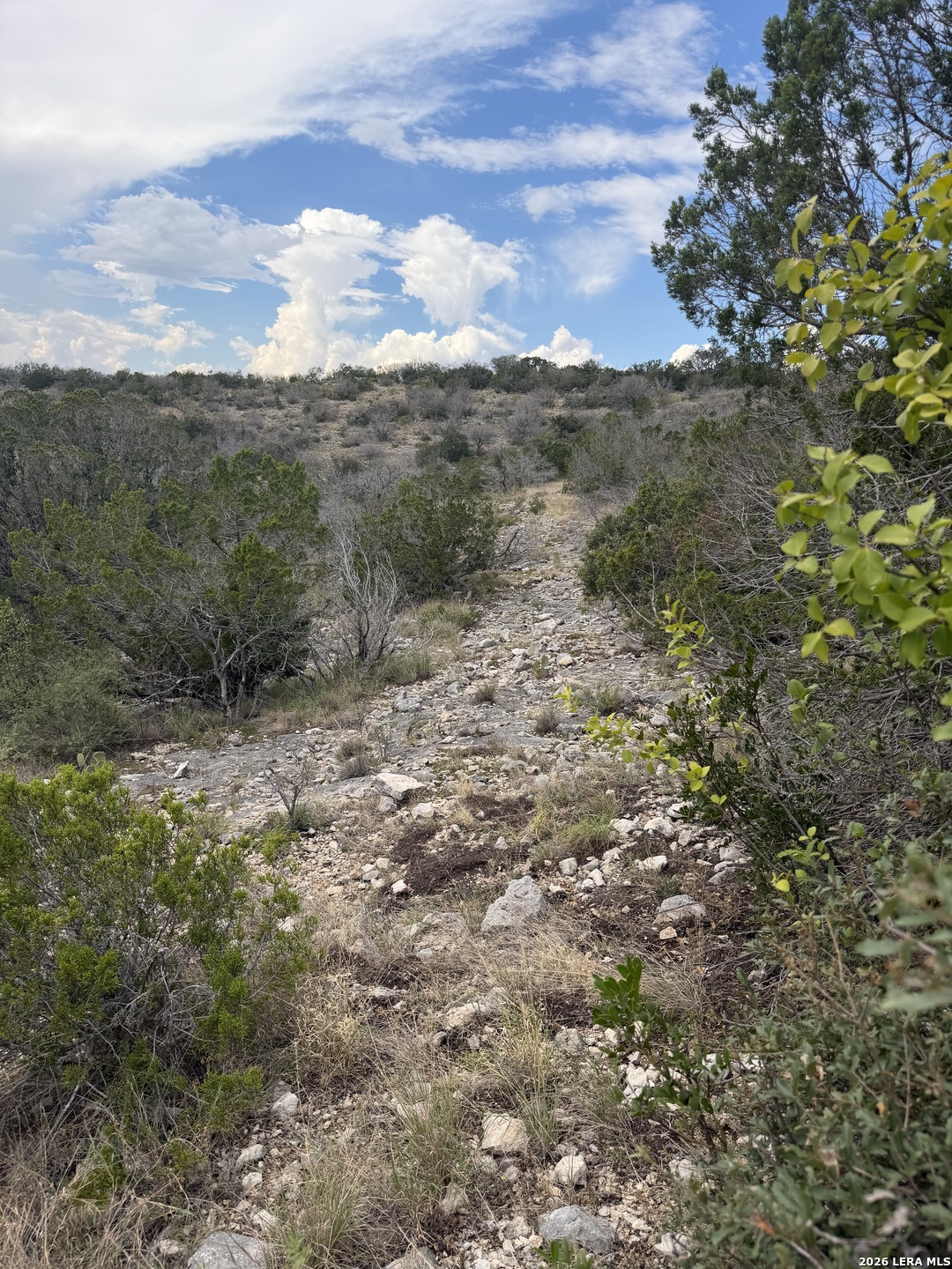 Tbd Sd45415 Rocksprings TX 78880