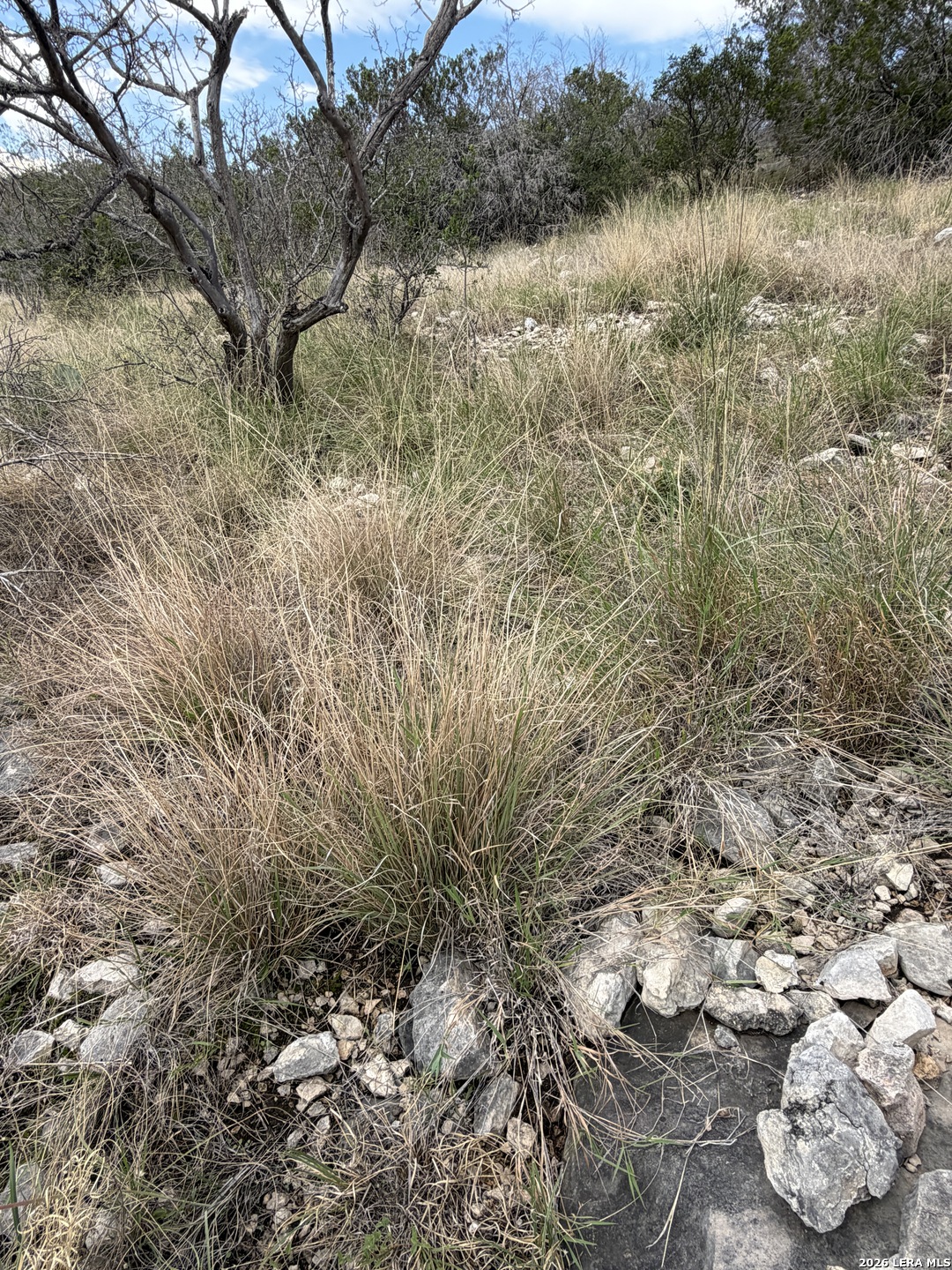 Tbd Sd45415 Rocksprings TX 78880