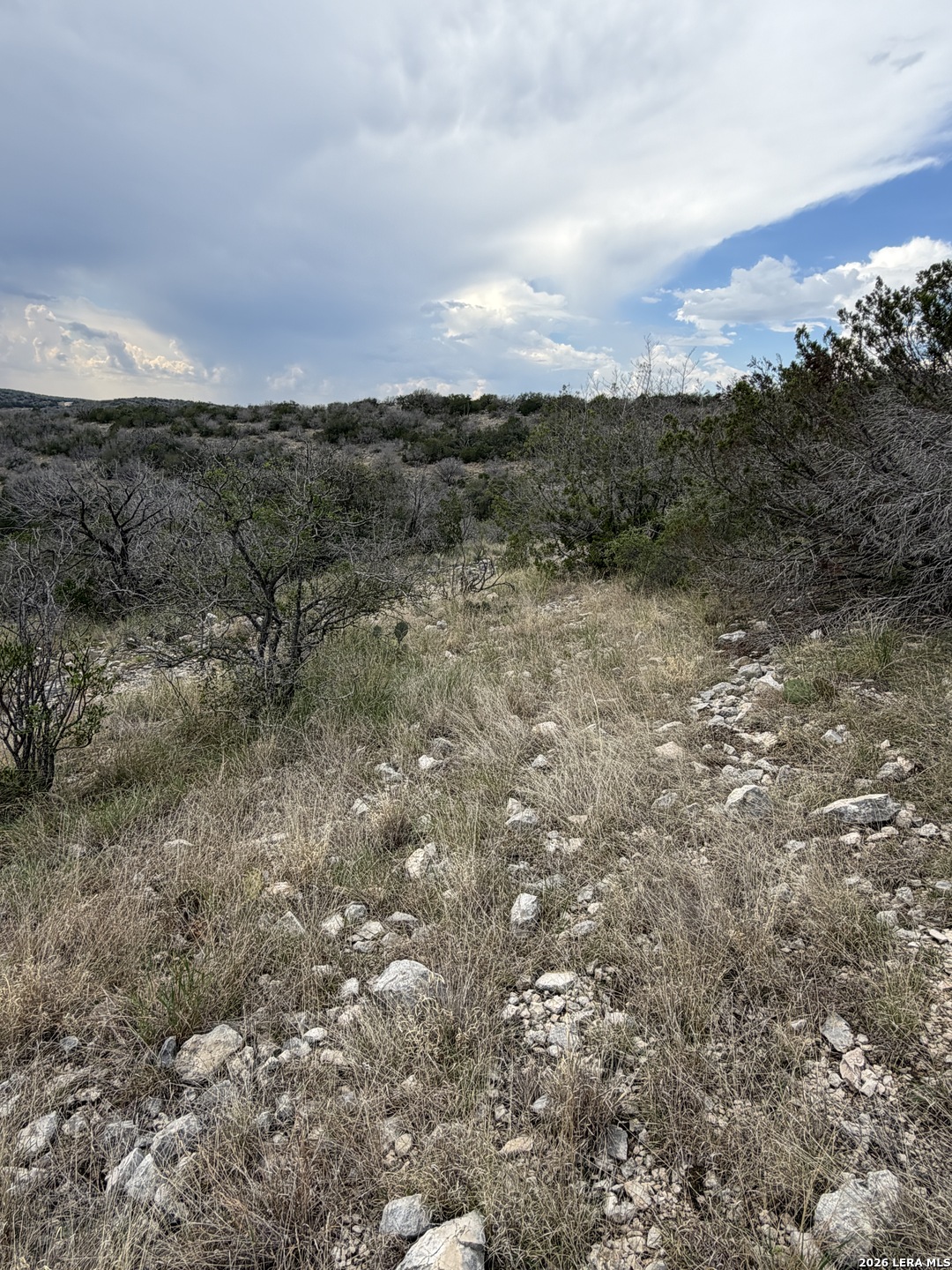 Tbd Sd45415 Rocksprings TX 78880