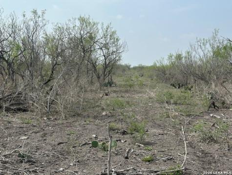306 Cr 305 Tilden TX 78072